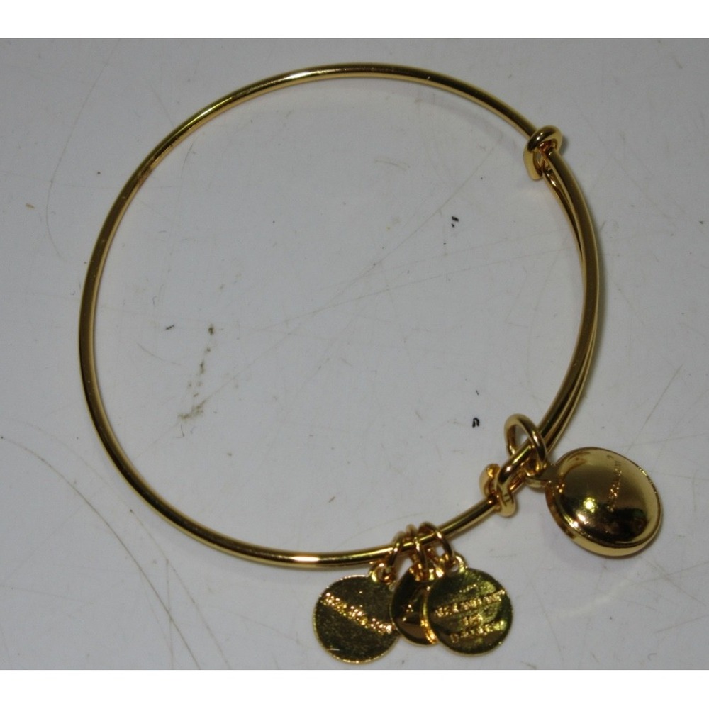 Alex and Ani Gold Bracelet – Pink/Purple Stone Birthstone – Used